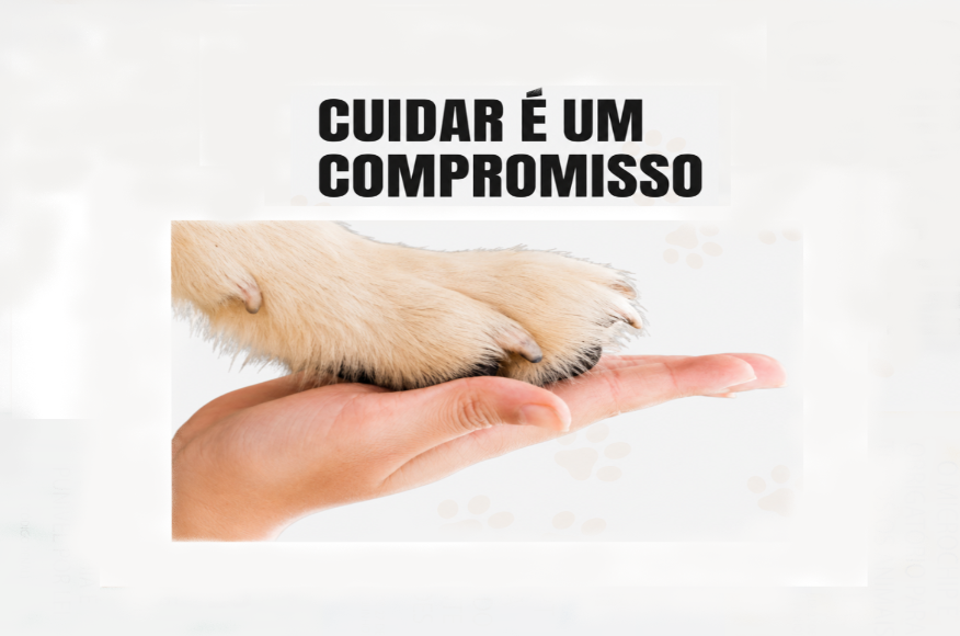 Campanha Nacional de Sensibiliza&ccedil;&atilde;o para o Bem-Estar Animal